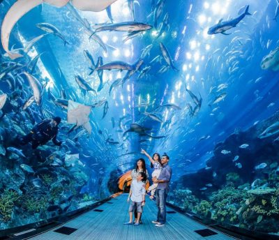 Dubai-Aquarium_Tunnel-1024x683